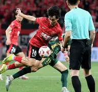 转会期成都蓉城备战欧联，强势反弹细节曝光，球迷炸锅，身体对抗强度拉满的简单介绍-满冠娱乐官网